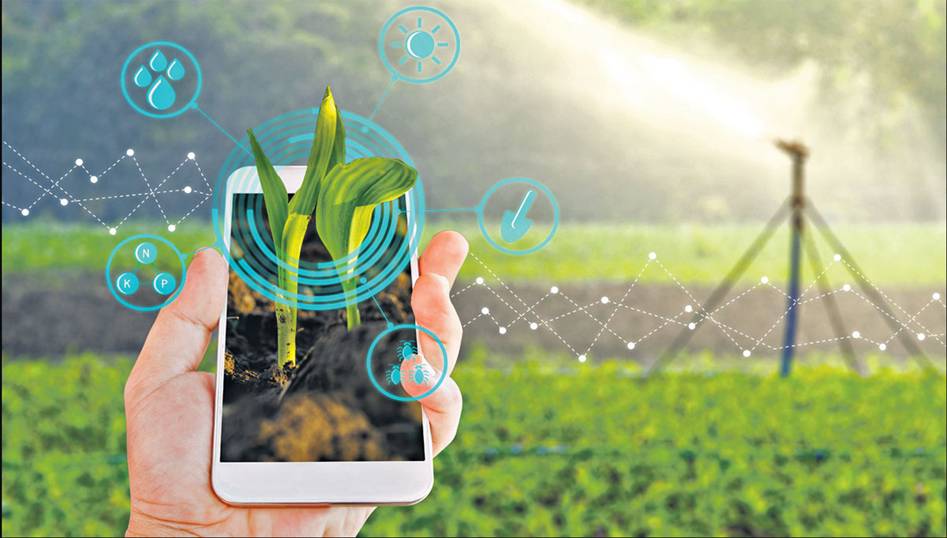 Digital Agriculture