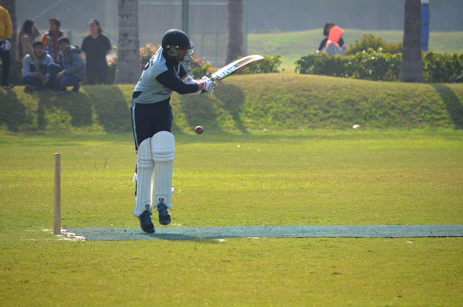Cricket 