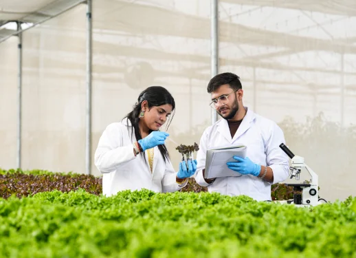 Agriculture Delhi NCR