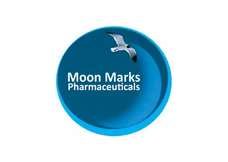 placment-logo