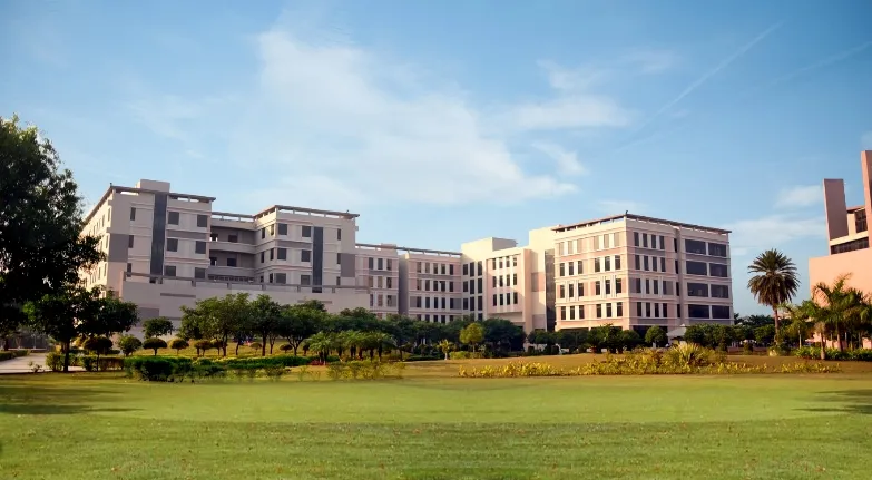 International Admissions