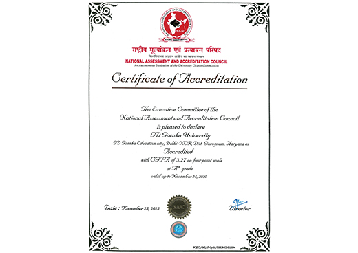 Rankings & Awards