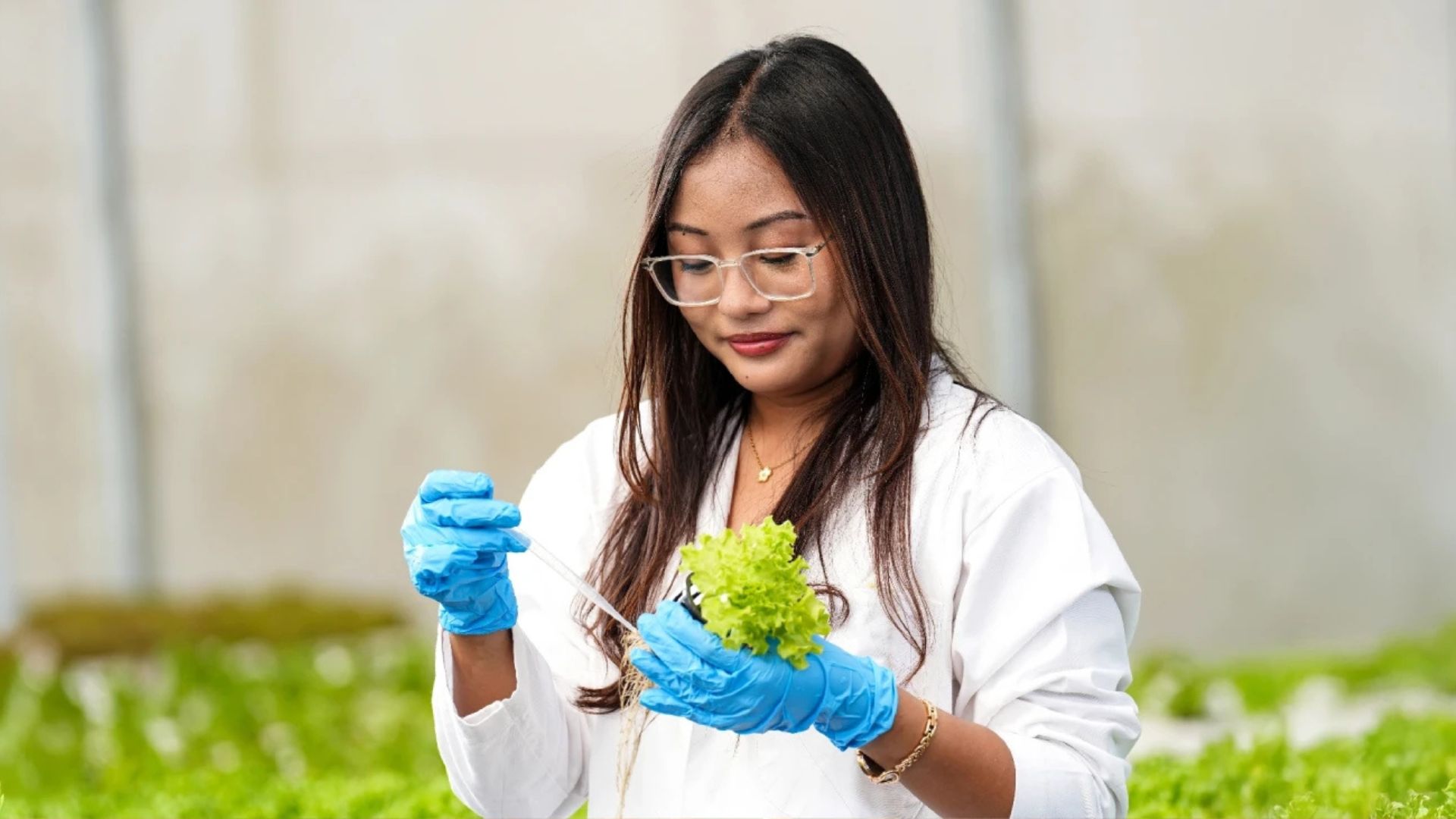 Is an MBA in Agriculture Worth It in 2026?