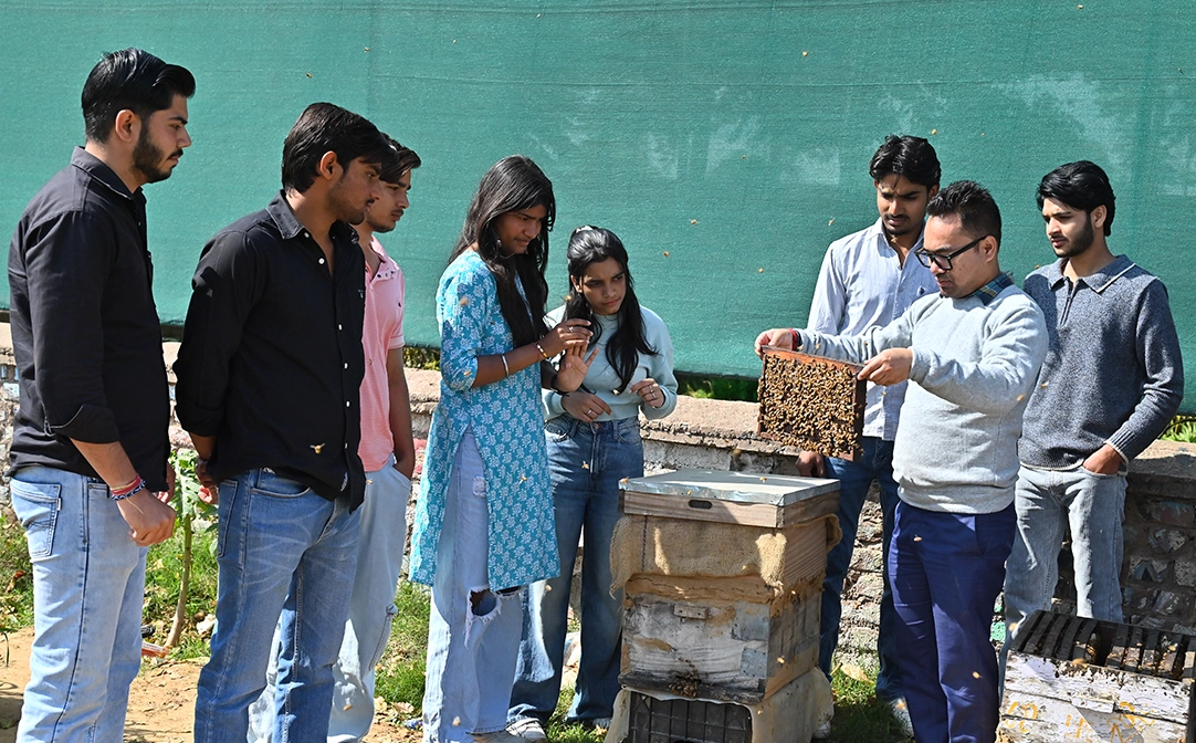 B.Sc. (Hons.) Agriculture