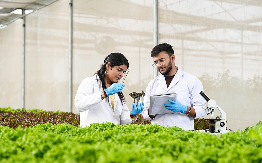 M.Sc. in Agriculture (Agronomy)
