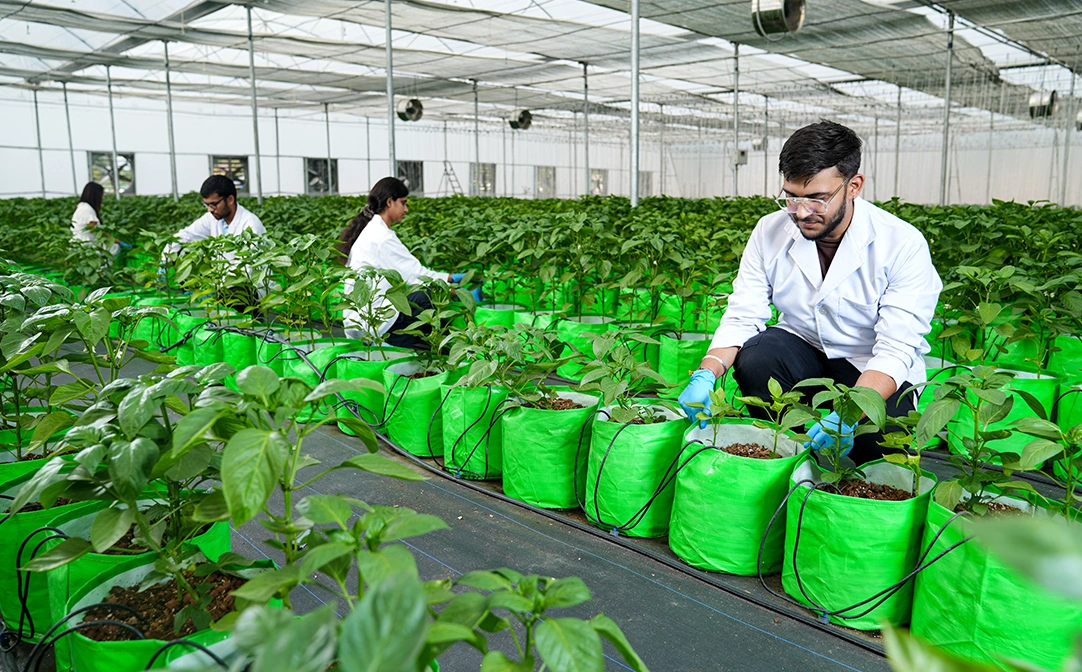 M.Sc. in Agriculture (Agricultural Extension Education)