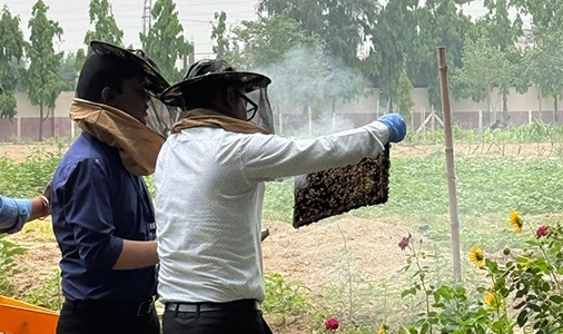 Hands on Training on Commercial Bee keeping