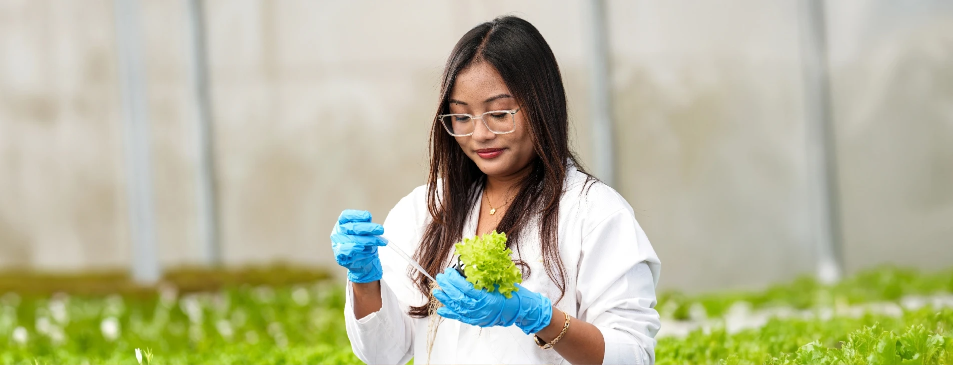 School of Agricultural Sciences